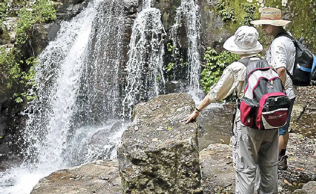 WALK UP A SWEAT: Lamington National Parks is one of three areas hosting The Great Queensland Bushwalk. WALK UP A SWEAT: Lamington National Parks is one of three areas hosting The Great Queensland Bushwalk.